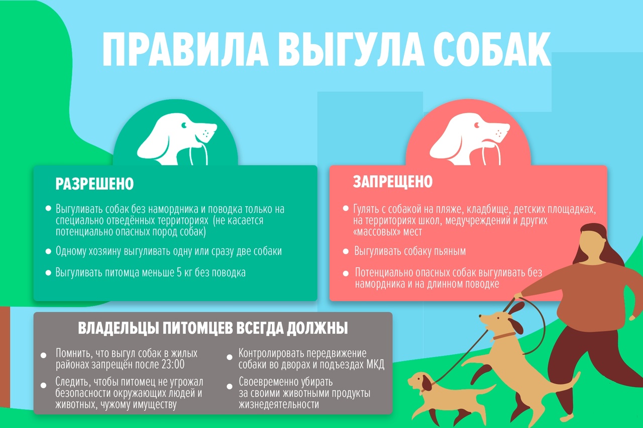 Владельцам домашних животных запрещается содержание домашних животных в нежилых помещениях многоквартирного дома.