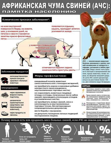 Профилактика возникновения особо опасных заболеваний животных и птиц, в том числе АЧС и ВГП. Профилактика возникновения особо опасных заболеваний животных и птиц, в том числе АЧС и ВГП.