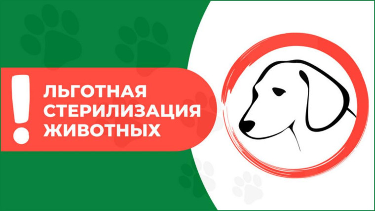 Льготная стерилизация (кастрация) домашних животных. Льготная стерилизация (кастрация) домашних животных.